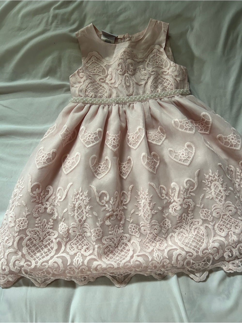Blueberi Boulevard Pale Pink Lace Heart Tulle Party Dress